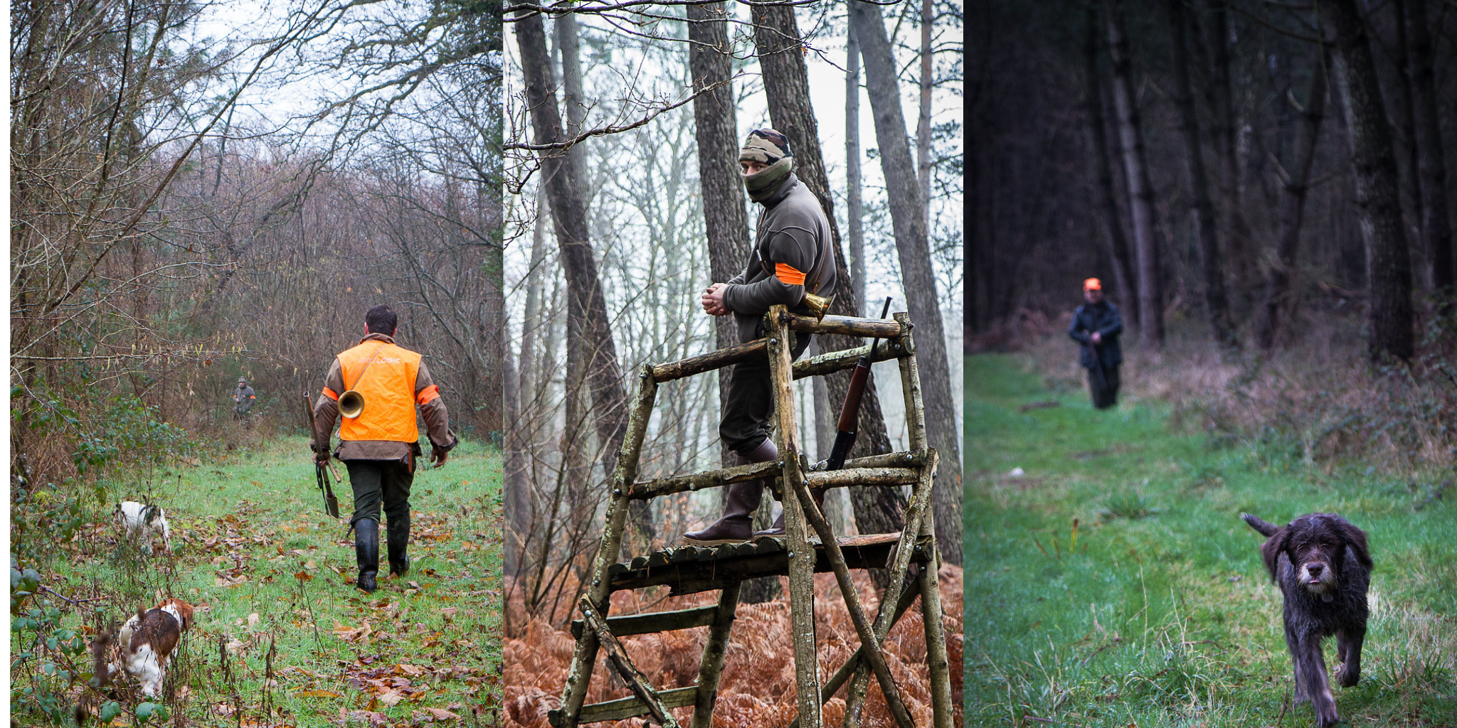 Rassemblement évangélique en Moselle : les chasseurs s’invitent dans le dispositif de sécurité