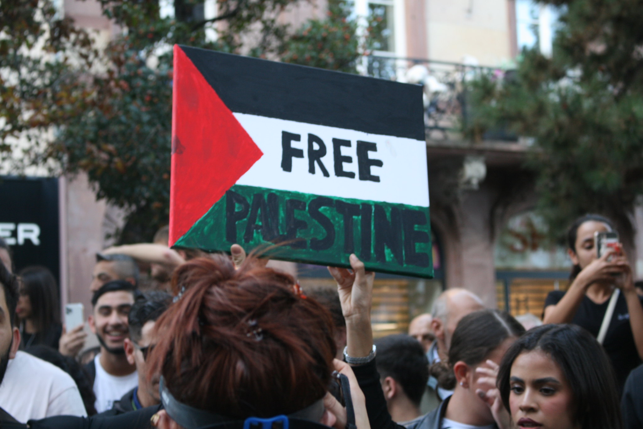 Treize personnes interpellées lors de la manifestation interdite en soutien au peuple palestinien