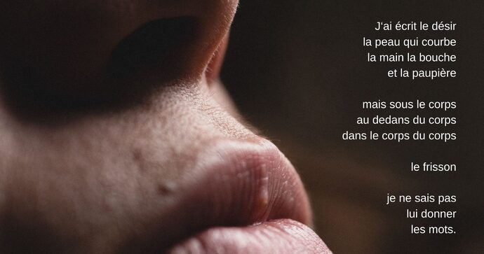 Exposition anne mellier