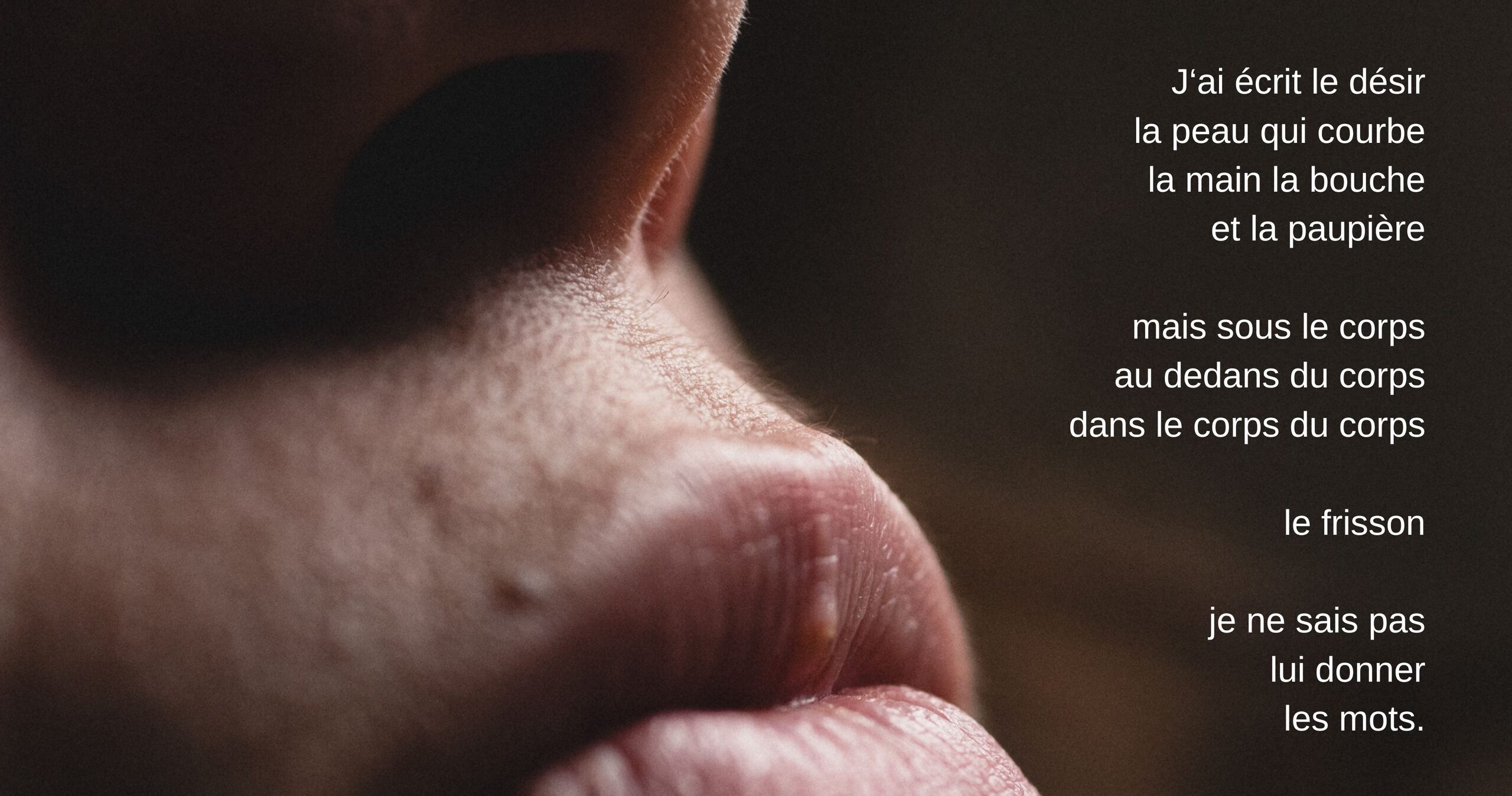 Exposition anne mellier