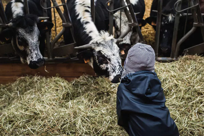Avec son « salon à la ferme », la Confédération paysanne fait campagne pour les municipales