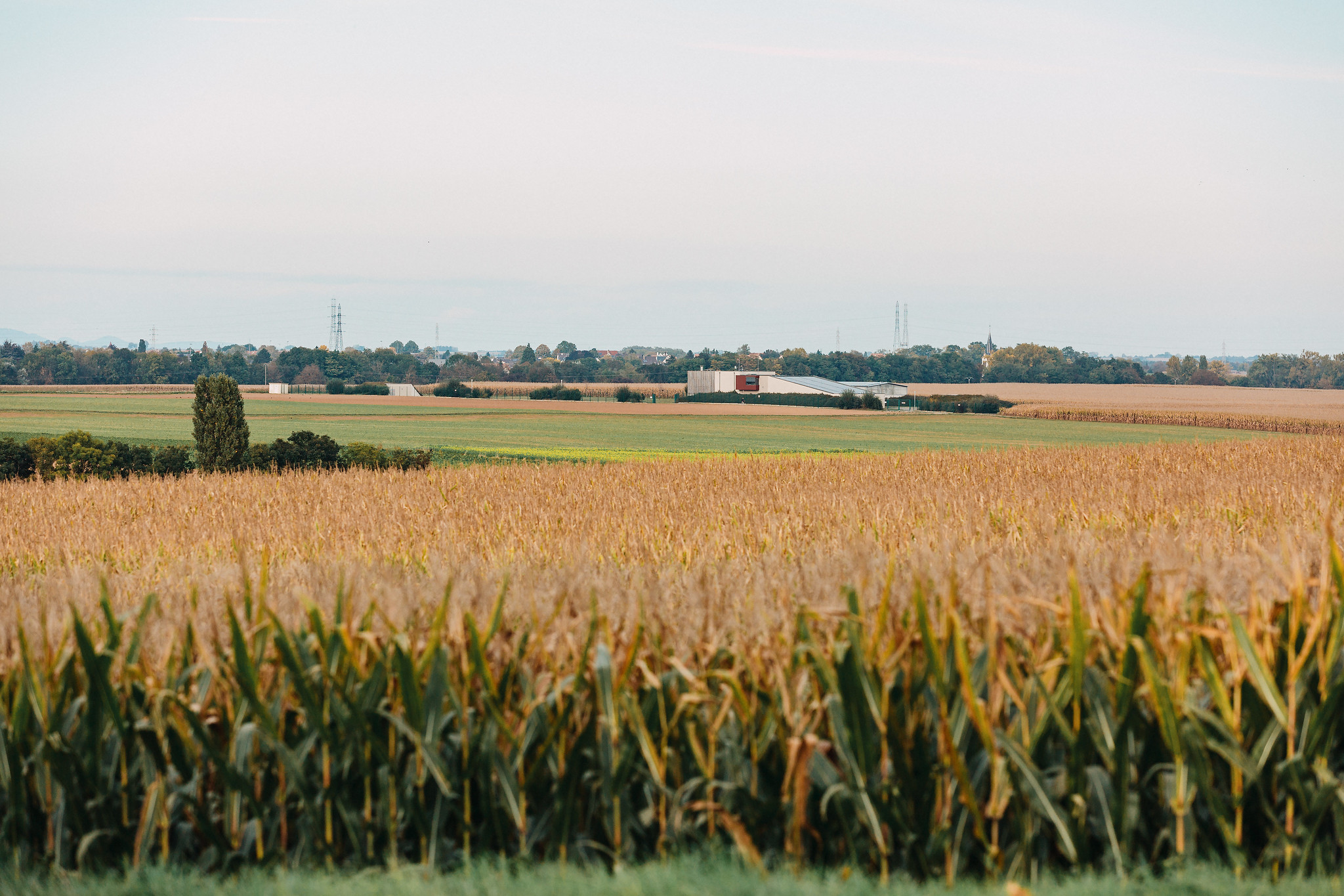 De l’Alsace à la Meuse, 262 captages d’eau potable dégradés par les pesticides
