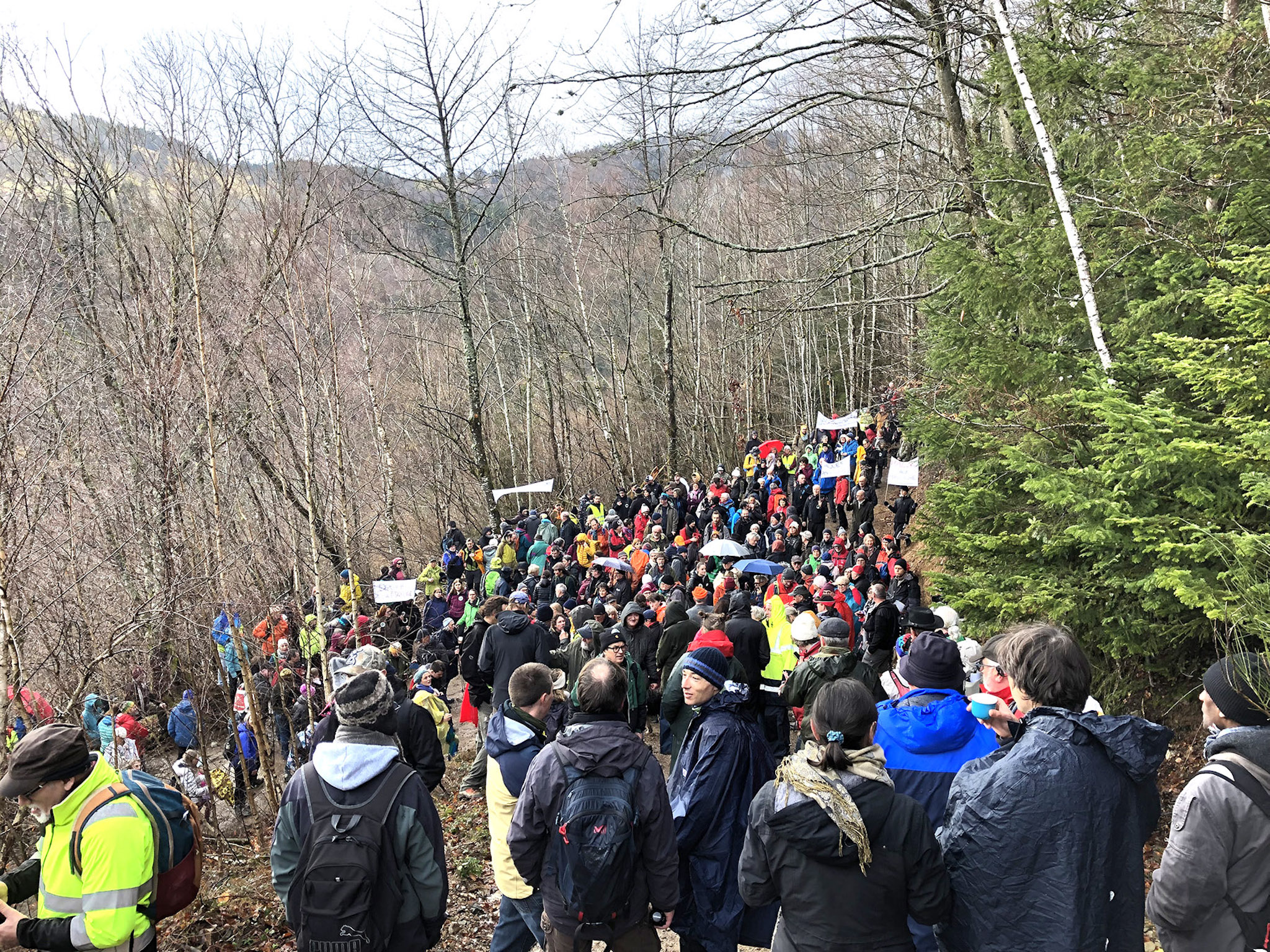 Vosges : des sentiers confisqués aux randonneurs par un propriétaire forestier