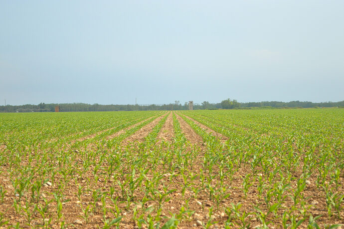 Loin de l’autosuffisance, l’agriculture alsacienne nourrit surtout l’industrie