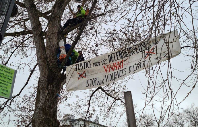 Trois « écureuils » contre l’A69 occupent deux arbres devant la Cour européenne des droits de l’Homme