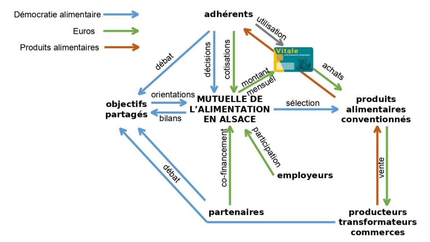 Réunion vendredi 24 mai pour créer une mutuelle de l’alimentation à Koenigshoffen