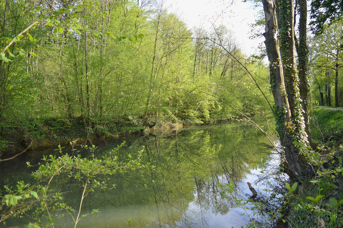 En Alsace centrale, des écologistes déplorent l’artificialisation d’un refuge de la biodiversité