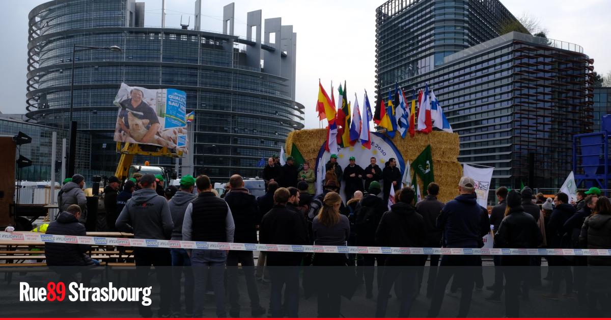 Pression des agriculteurs sur le Parlement européen contre l&rsquo;accord UE-Mercosur mardi 20 janvier