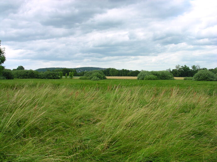 La famille Mack met la pression sur les élus alsaciens pour Europa Vallée
