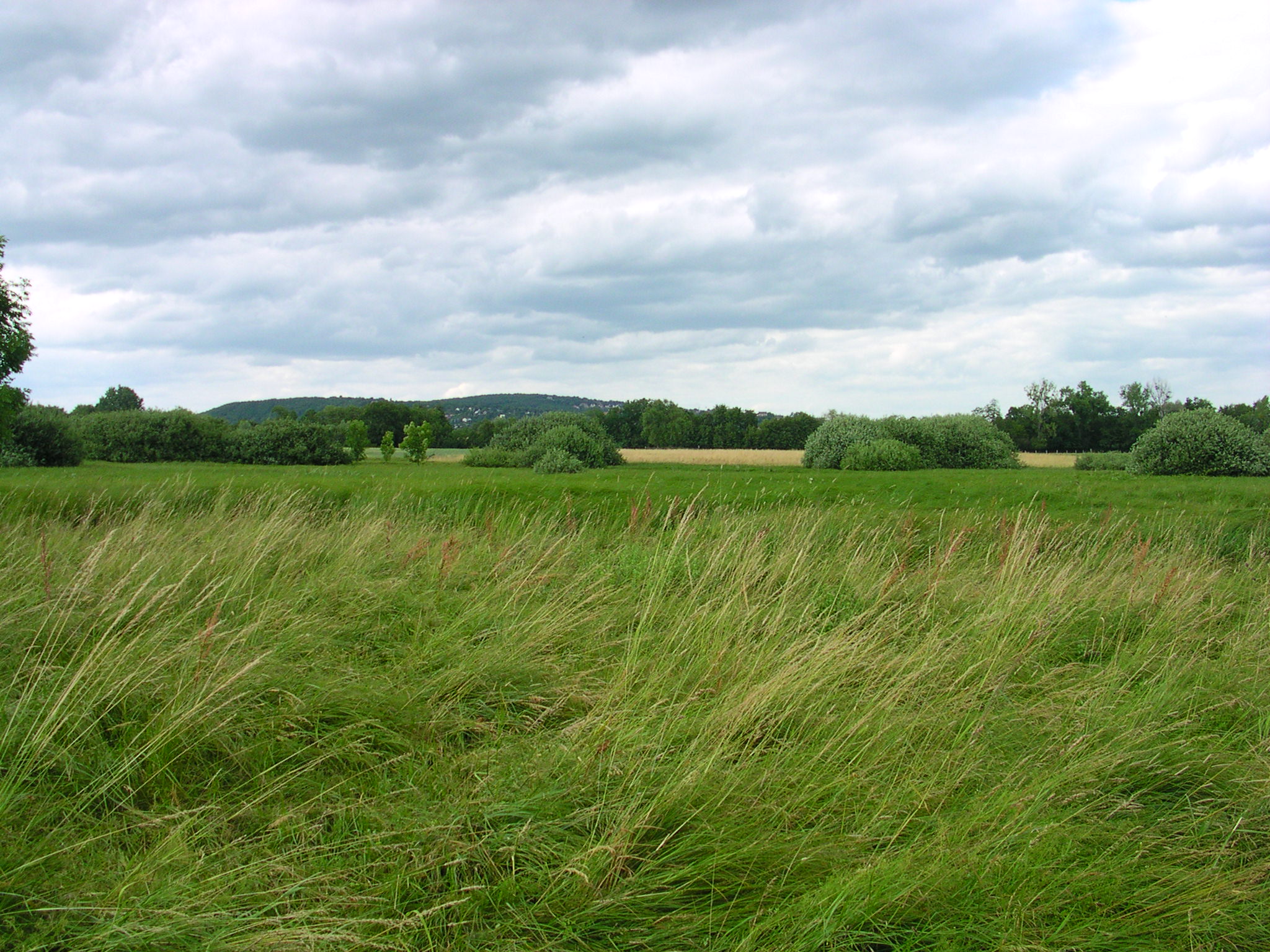 La famille Mack met la pression sur les élus alsaciens pour Europa Vallée
