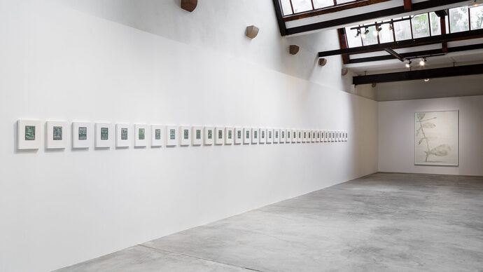 Nicolas Schneider entre temps et matière à la Galerie East