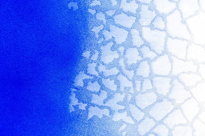 La fondation François Schneider rouvre avec l’exposition Métamorphose