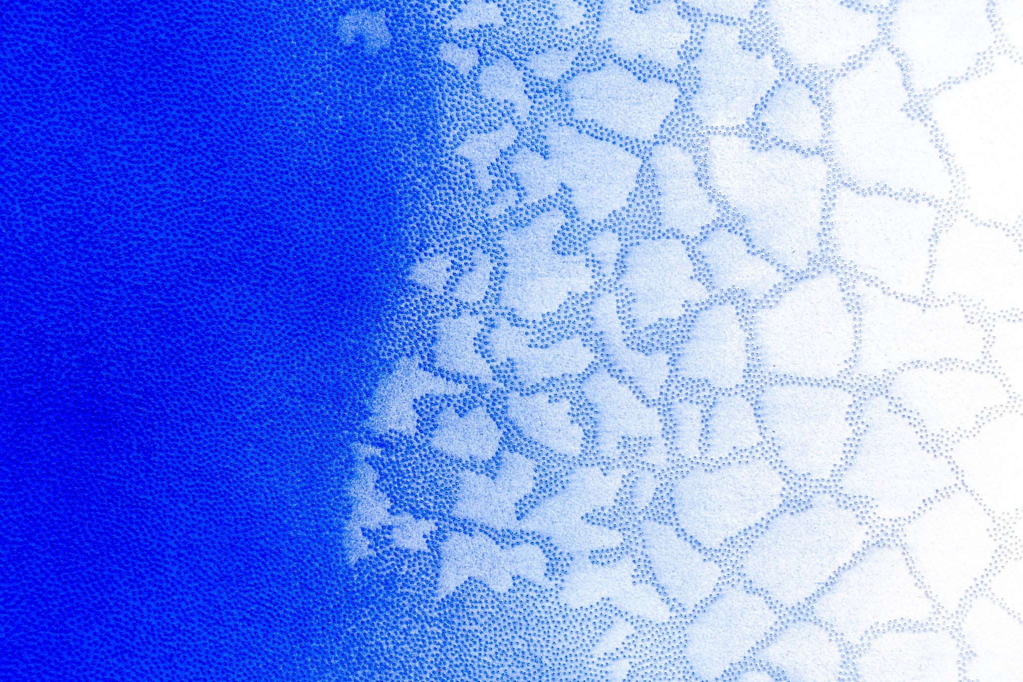 La fondation François Schneider rouvre avec l’exposition Métamorphose