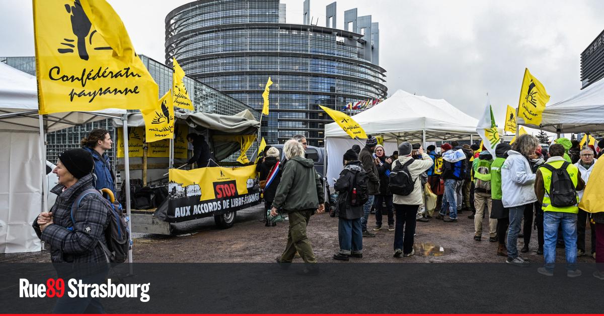 Devant le Parlement européen, des agriculteurs dénoncent un accord UE – Mercosur « criminel »