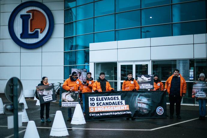 Au stade de la Meinau, une manifestation de L214 interdite par la préfecture