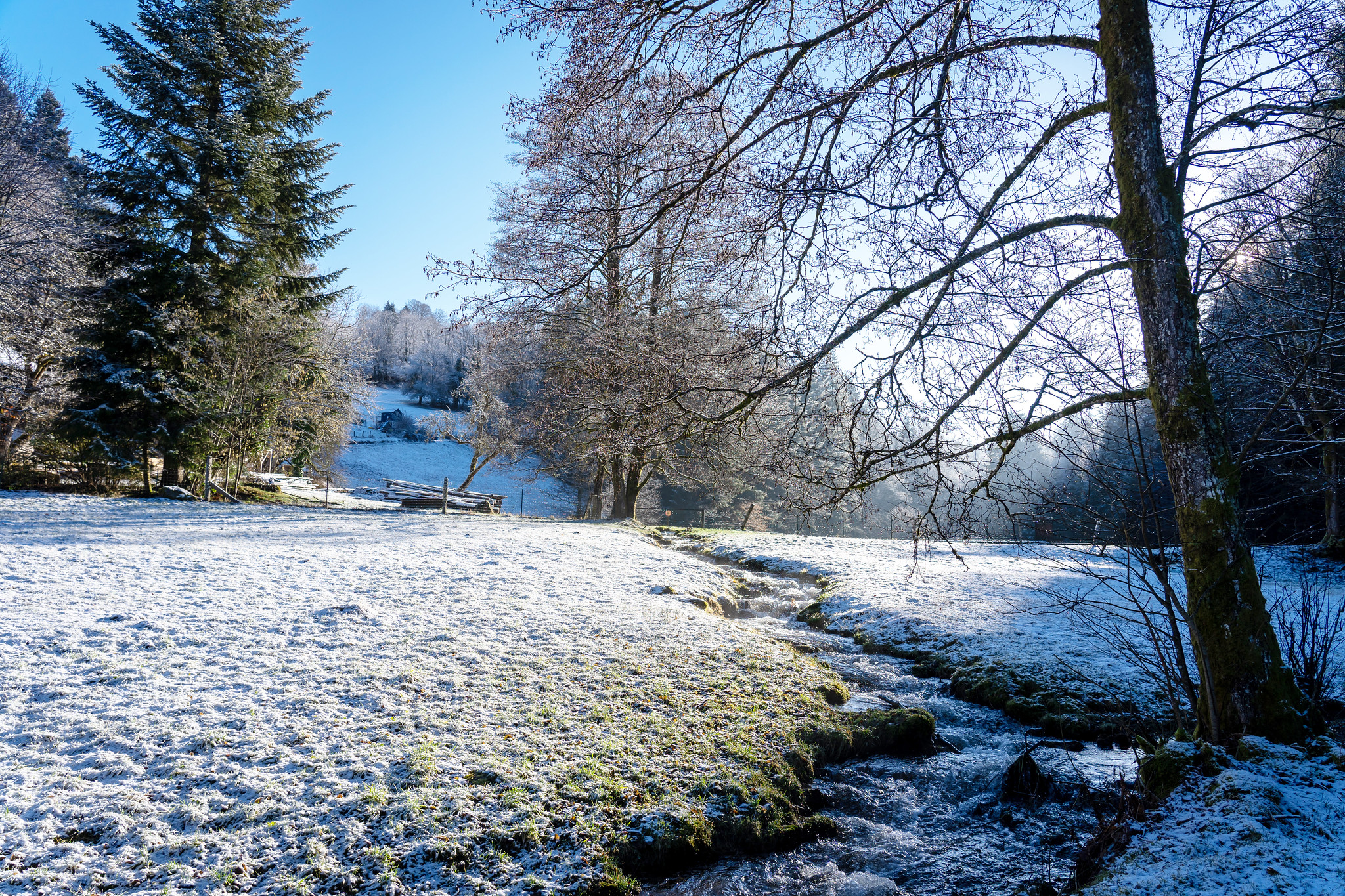 PFAS : dans les Vosges, le désarroi et la colère des habitants face à la pollution de leur eau 