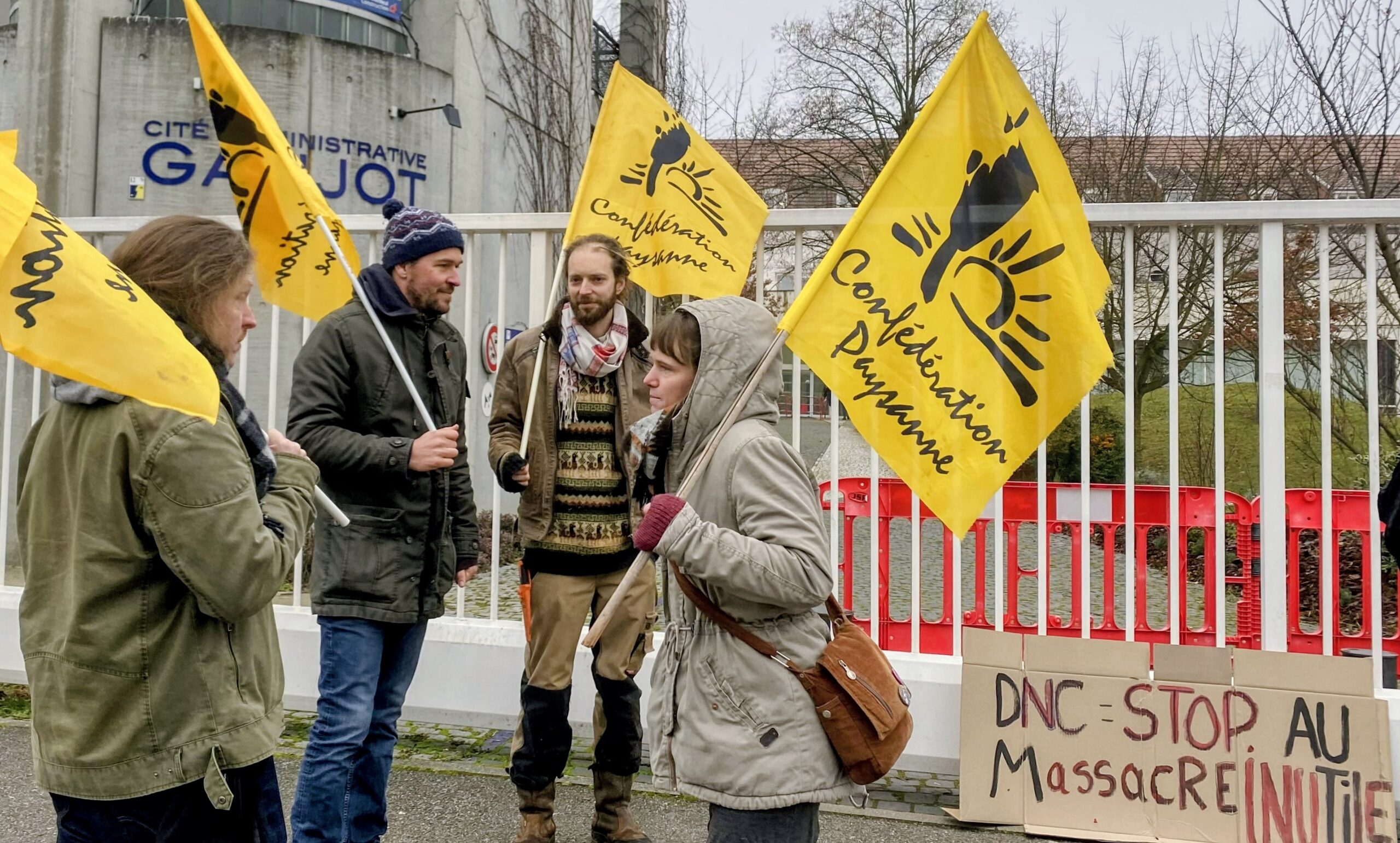 Face à la dermatose bovine, la Confédération paysanne dénonce « un massacre inutile »