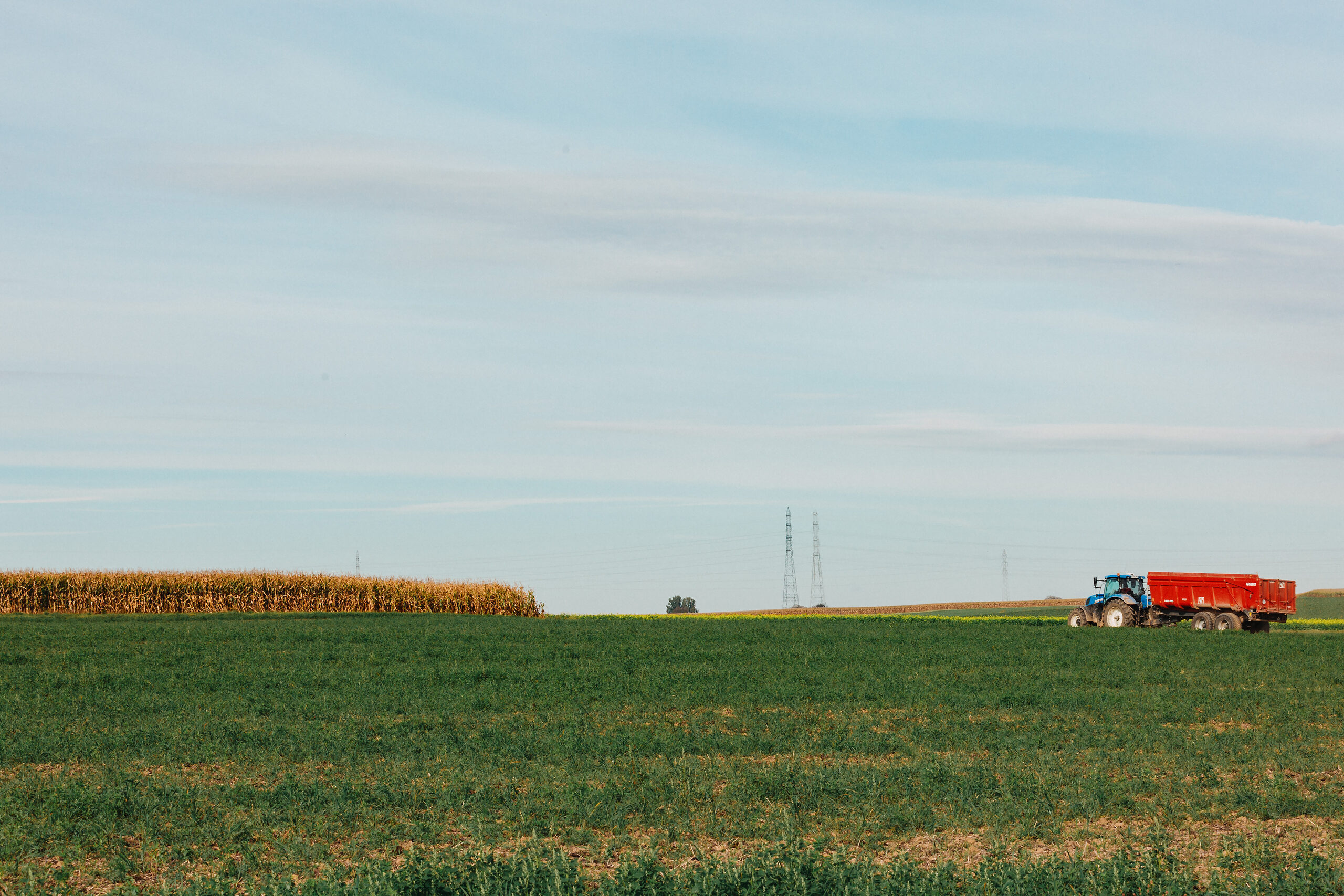 À Munchhouse, l’usine de méthanisation décriée ne verra pas le jour