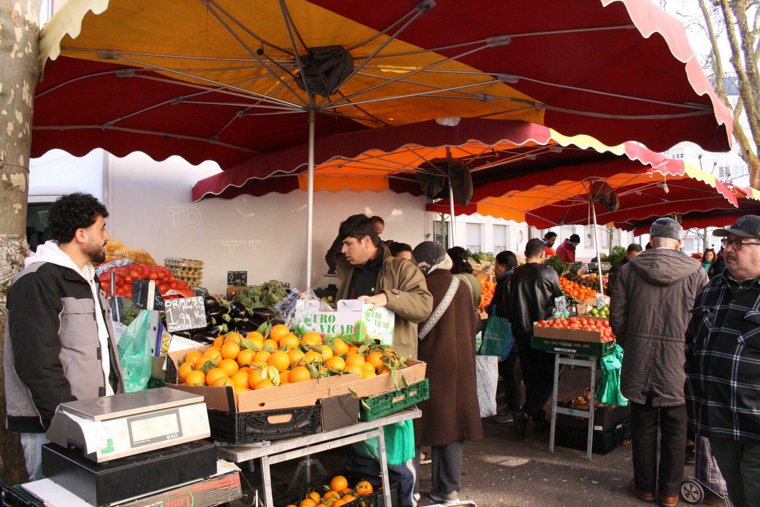 L’alimentation en débat avec les candidats aux municipales