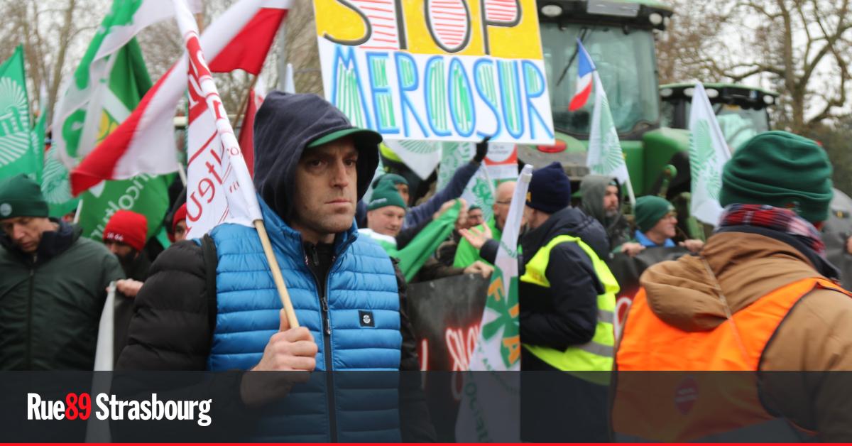 À Strasbourg, avec les agriculteurs dans le flou face aux effets du traité avec le Mercosur