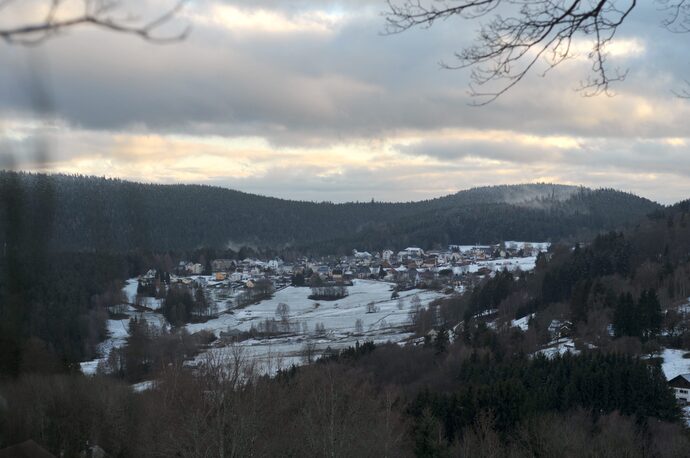 À Aubure, scientifiques et habitants débutent une étude coopérative sur l&rsquo;avenir de la forêt