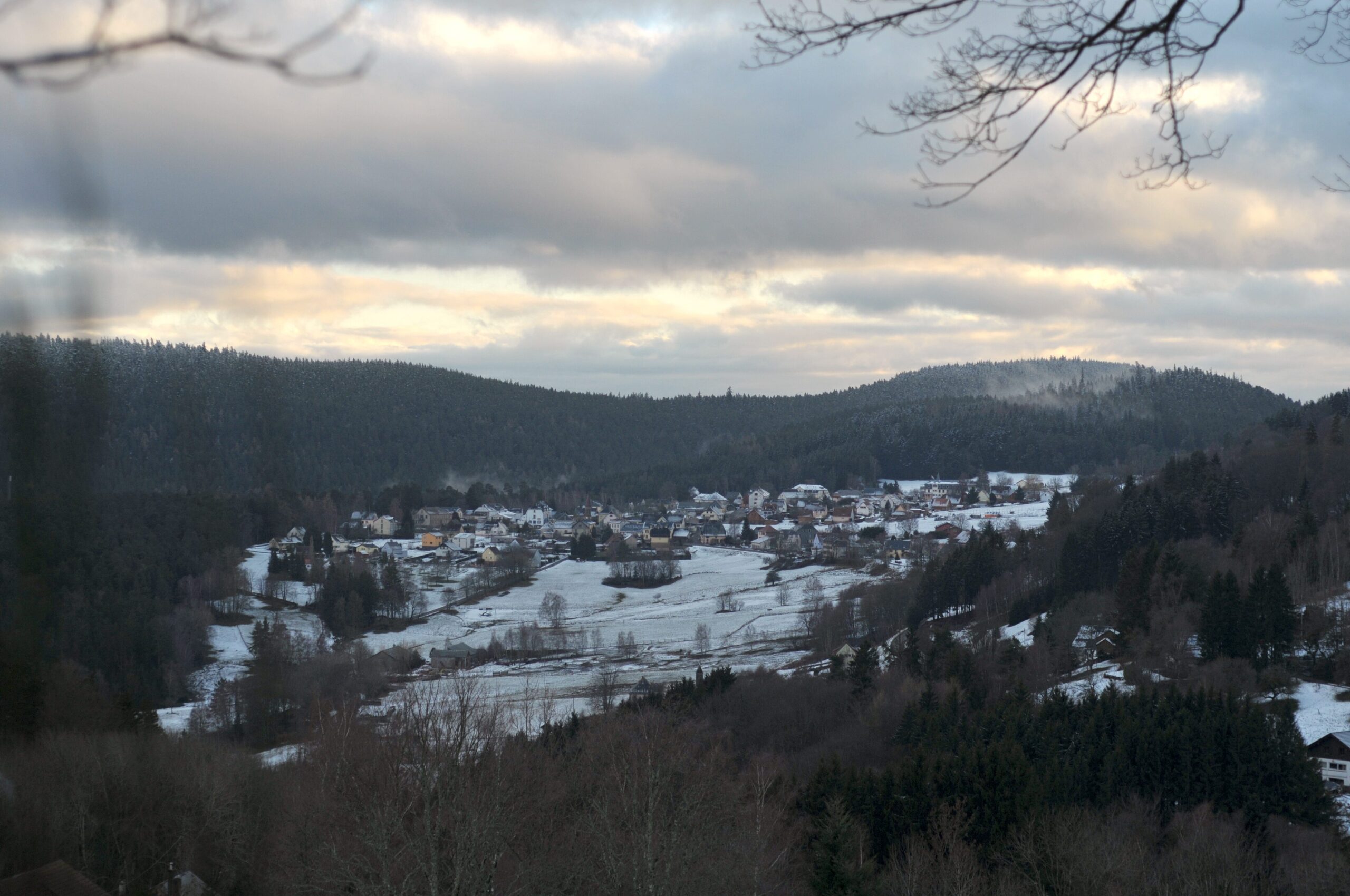 À Aubure, scientifiques et habitants débutent une étude coopérative sur l’avenir de la forêt