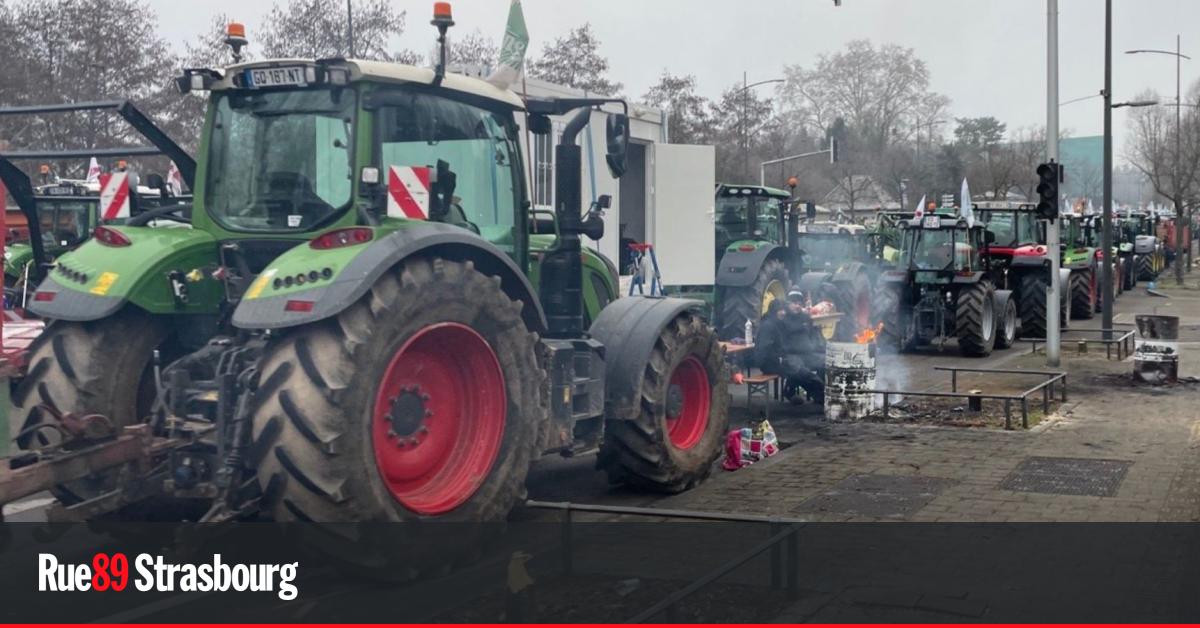 Manifestation des agriculteurs : après l&rsquo;abattage d&rsquo;arbres, la Ville porte plainte