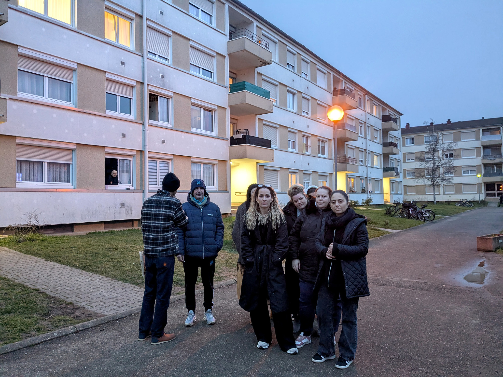 Envahis par les souris, des locataires se soulèvent contre Obernai Habitat