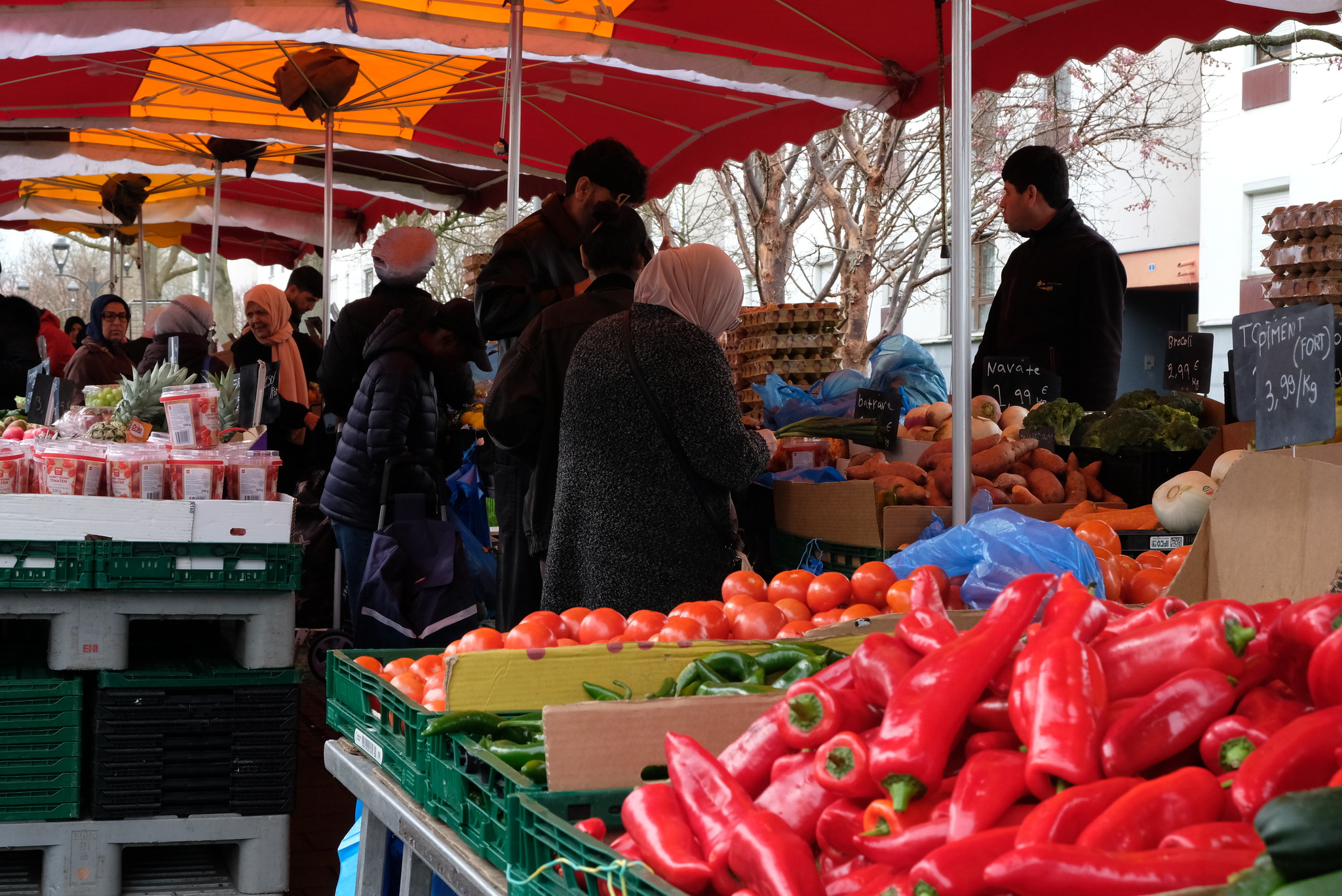 « J’hésite entre Trautmann et Barseghian » : à l’Elsau, la maire perd la voix des automobilistes